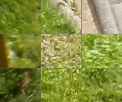 Nikon Coolpix S9100: rudý bojovník