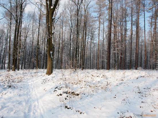 Olympus OM-D E-M5: elegantní fotokladivo