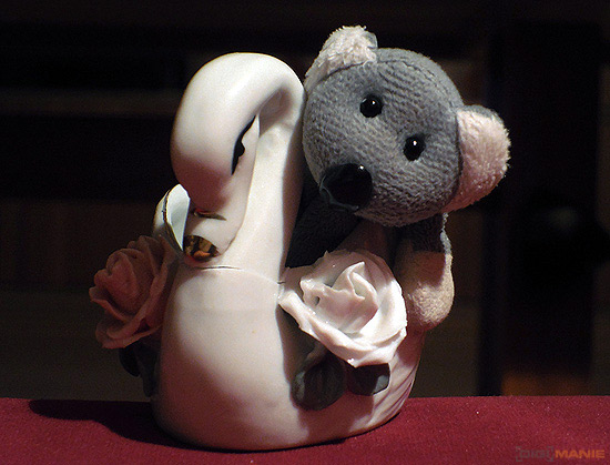 Fotíme s Koalou: Zvířátka