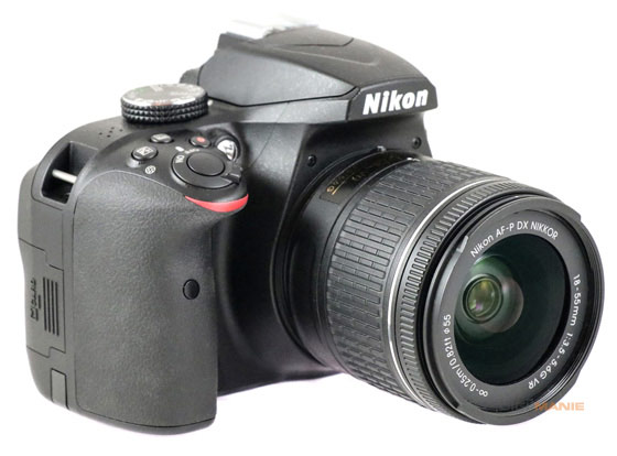 Nikon AF-P NIKKOR 18-55mm f/3.5-5.6G VR