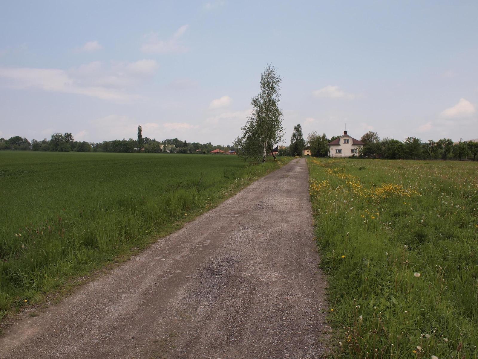 Olympus M.Zuiko Digital 17mm F2,8 Pancake