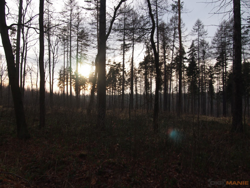 Olympus M.Zuiko Digital 14-42mm 1:3,5-5,6 II R