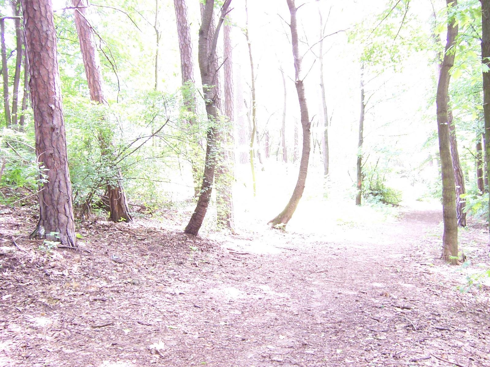 Kodak EasyShare DX7440: Elegantní a šikovný