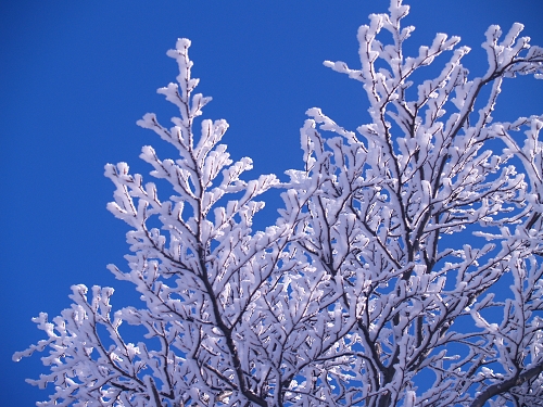 Zrcadlovka a já: Kudy kam