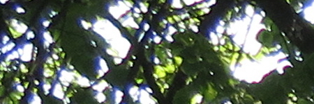 Canon PowerShot SX720 HS: kapesní šmírování