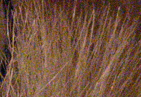 Samsung NX1000: sněhobílý bezdrát