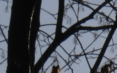 Samsung 18-200mm F3.5-6.3 ED OIS