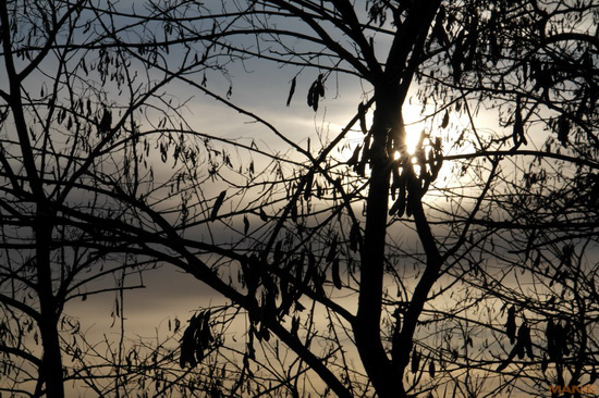 Samsung 18-200mm F3.5-6.3 ED OIS