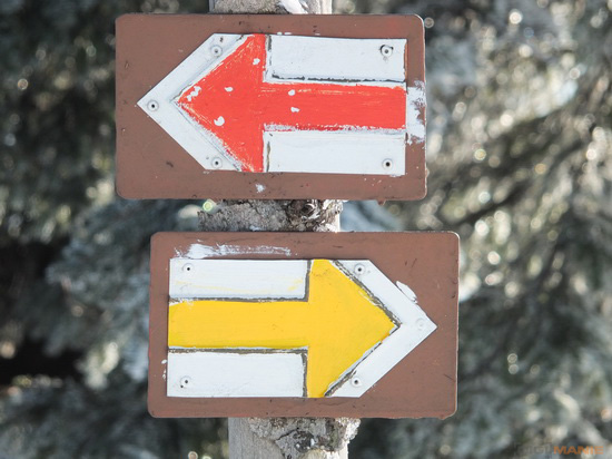 Fujifilm X-S1: jedinečný