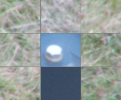 Fujifilm X-S1: jedinečný