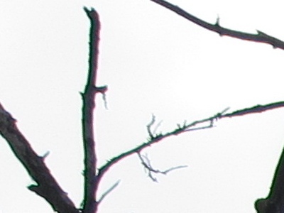 Canon PowerShot S90: malý zázrak