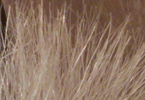 Canon PowerShot G15: lépe už to (asi) nepůjde