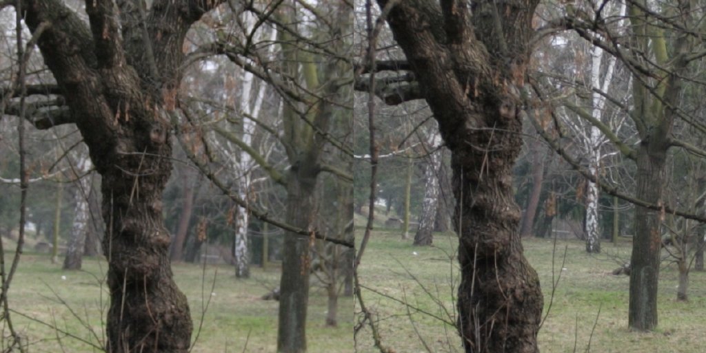 Srovnání 2 objektivů: profesionální Sigma vs. setový Canon