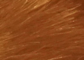 Sony Alpha SLT-A35: úspěšně proti zrcadlovkám