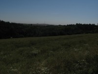 Canon PowerShot A540: Stříbrný šikula