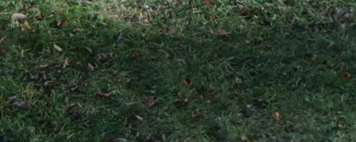 Panasonic Lumix GH5 II: nejen pro vloggery