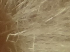 Sony Cyber-shot TX10: odolný zálesák