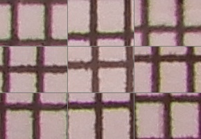 Nikon Coolpix A900: 4K do kapsy