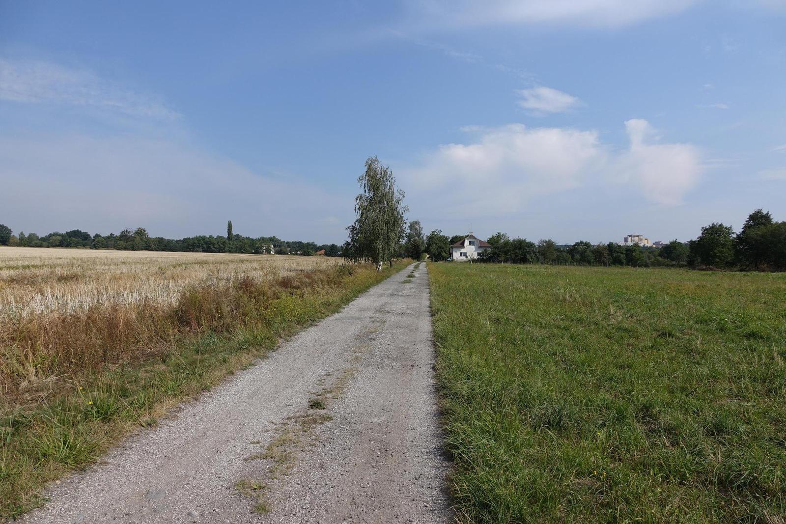 Sony Cyber-shot RX10 II: ve jménu videa