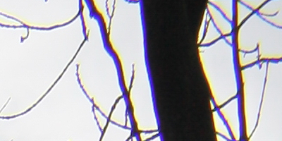 Canon EF 35mm f/1.4L USM