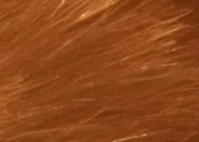 Sony Alpha SLT-A35: úspěšně proti zrcadlovkám