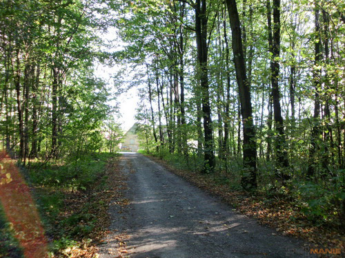 BenQ DC T1260: přítel citlivé peněženky