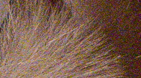 Panasonic Lumix TZ70: krůček k profi ultrazoomu