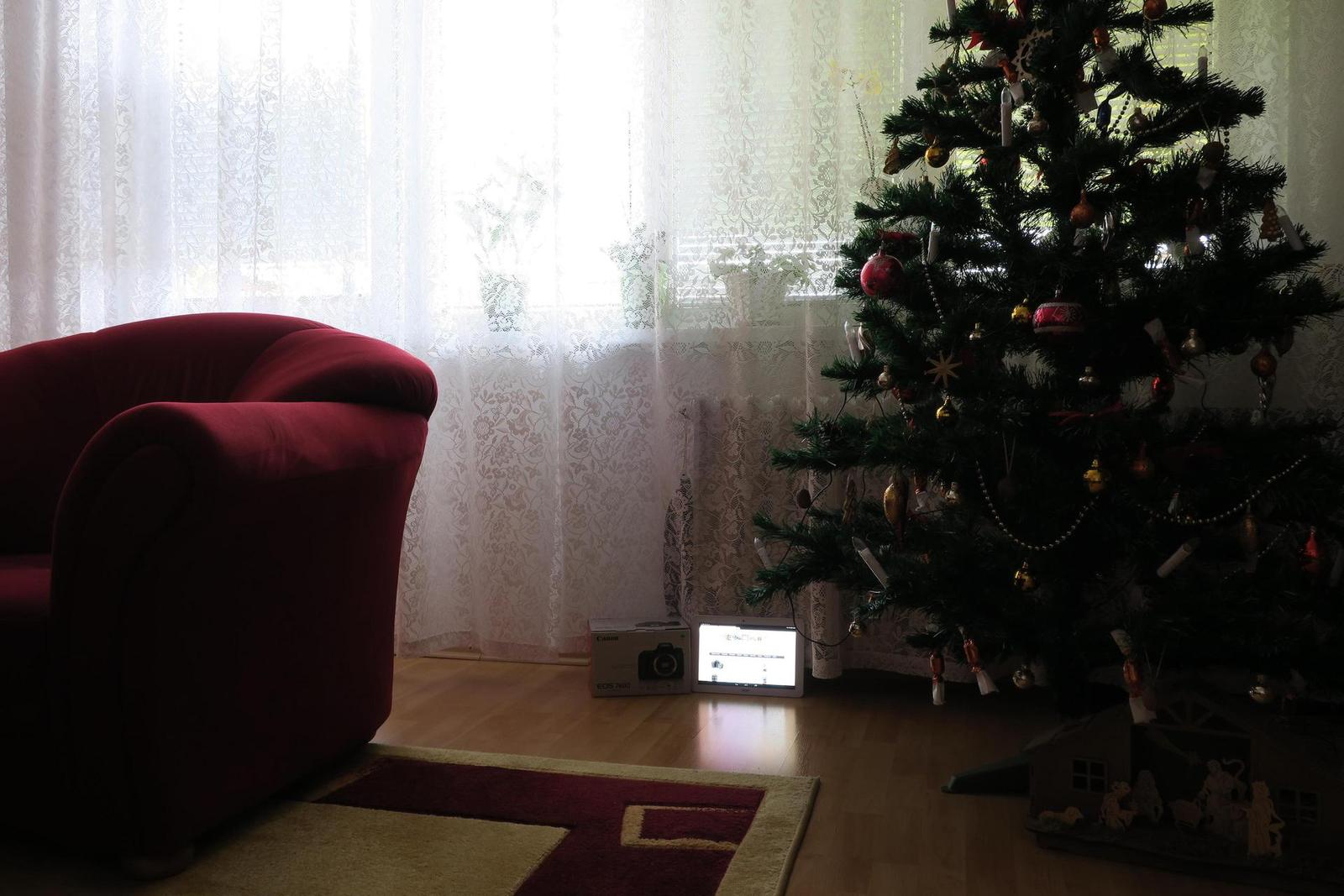 Canon PowerShot G9 X vs Sony Cyber-shot RX100