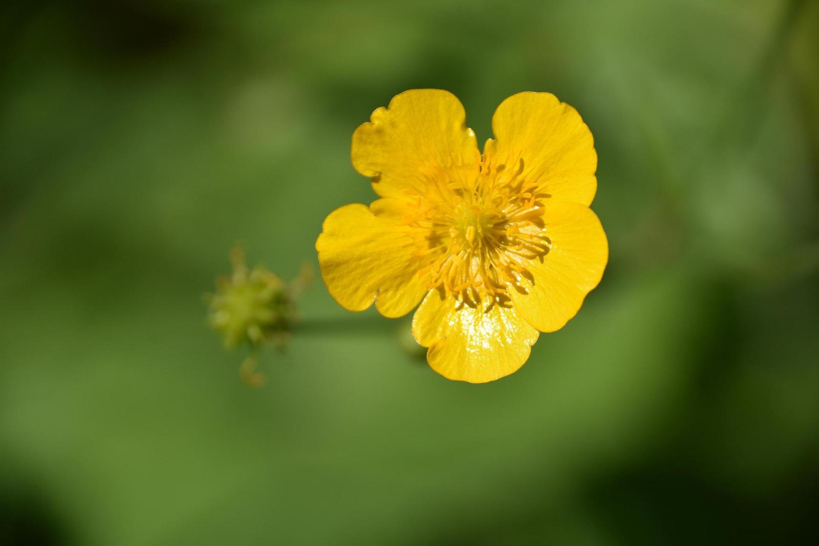 Nikon AF-S DX NIKKOR 18-300mm f/3.5-6.3G ED VR