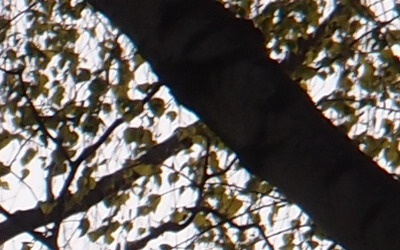 Olympus XZ-1: trefa do černého