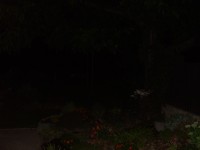 Acer CP-8660: zajímavý rebrand