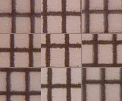 Panasonic Lumix TZ10: kapesní dělo