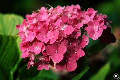 Reprezentace barev v PC, RGB a barevný prostor