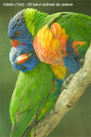 Vše o formátu RAW – 6. díl