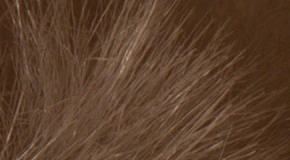 Nikon D3300: drobek se silným srdcem