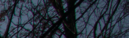 Nikon AF-P NIKKOR 18-55mm f/3.5-5.6G VR