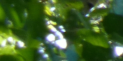 Panasonic Lumix TZ30: pokračovatel slavného rodu?