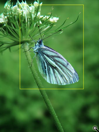 Úpravy fotografií v PC, 13. díl - ořez, tisk, archivace