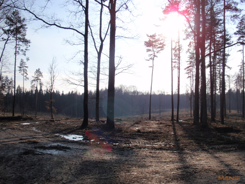 Olympus mju 9000: 10× ultrazoom v kompaktním balení