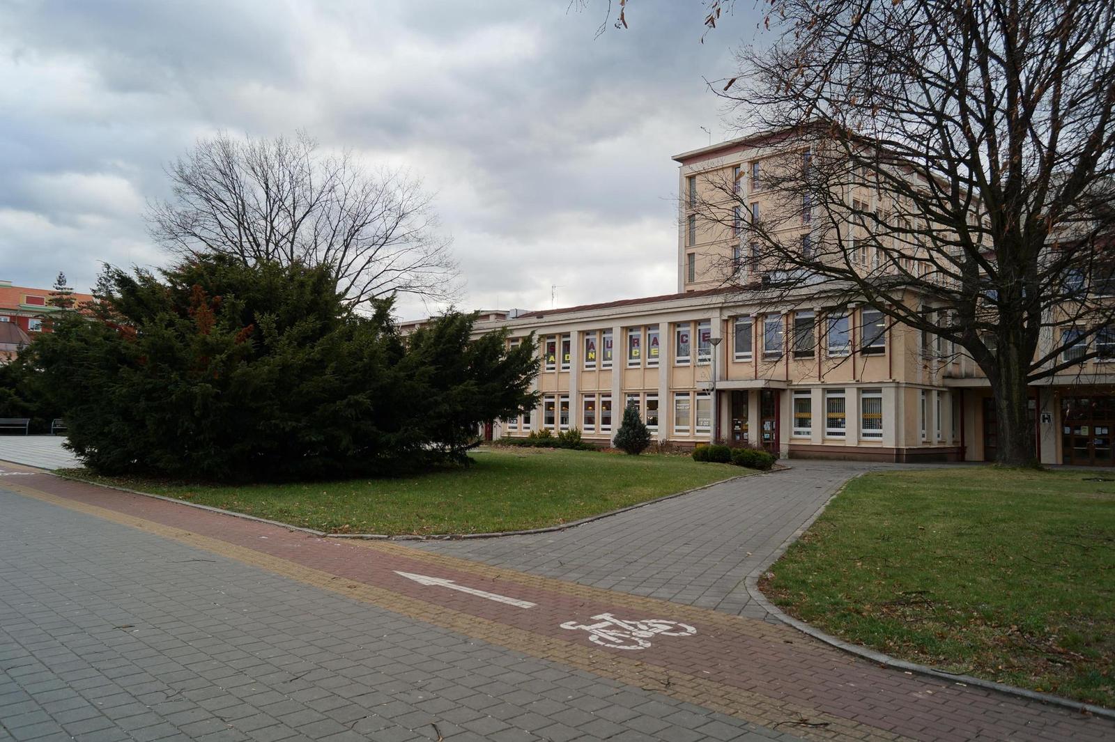 Sony DT 18-55mm 3.5-5.6 SAM II (SAL-1855-2)