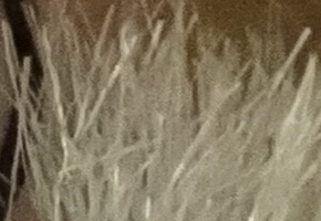 Sony Cyber-shot HX20V: umí snad všechno