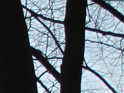 Canon PowerShot G11: géčko, o jakém jsme snili