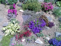 Nokia N80 - jak fotí 3megapixelový fotomobil?