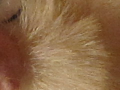 Canon PowerShot SX130 IS: levný všeuměl