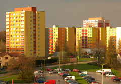 Nikon Coolpix L100: lovec hmyzu