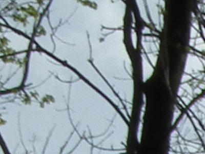 Fujifilm FinePix HS10: ultrazoom roku?