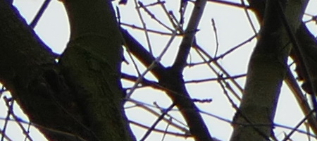 Panasonic Lumix FZ1000: legenda je zpátky