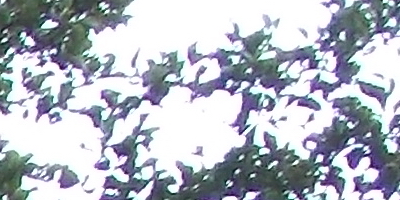 Nikon Coolpix L810: pro nenáročné