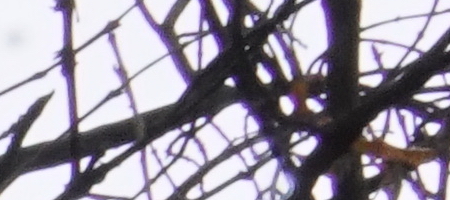 Sony Carl Zeiss Sonnar T* FE 35mm F2.8 ZA (SEL35F28Z)