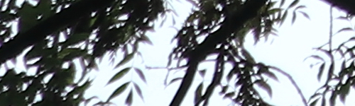 Canon EF-M 15-45mm f/3.5-6.3 IS STM